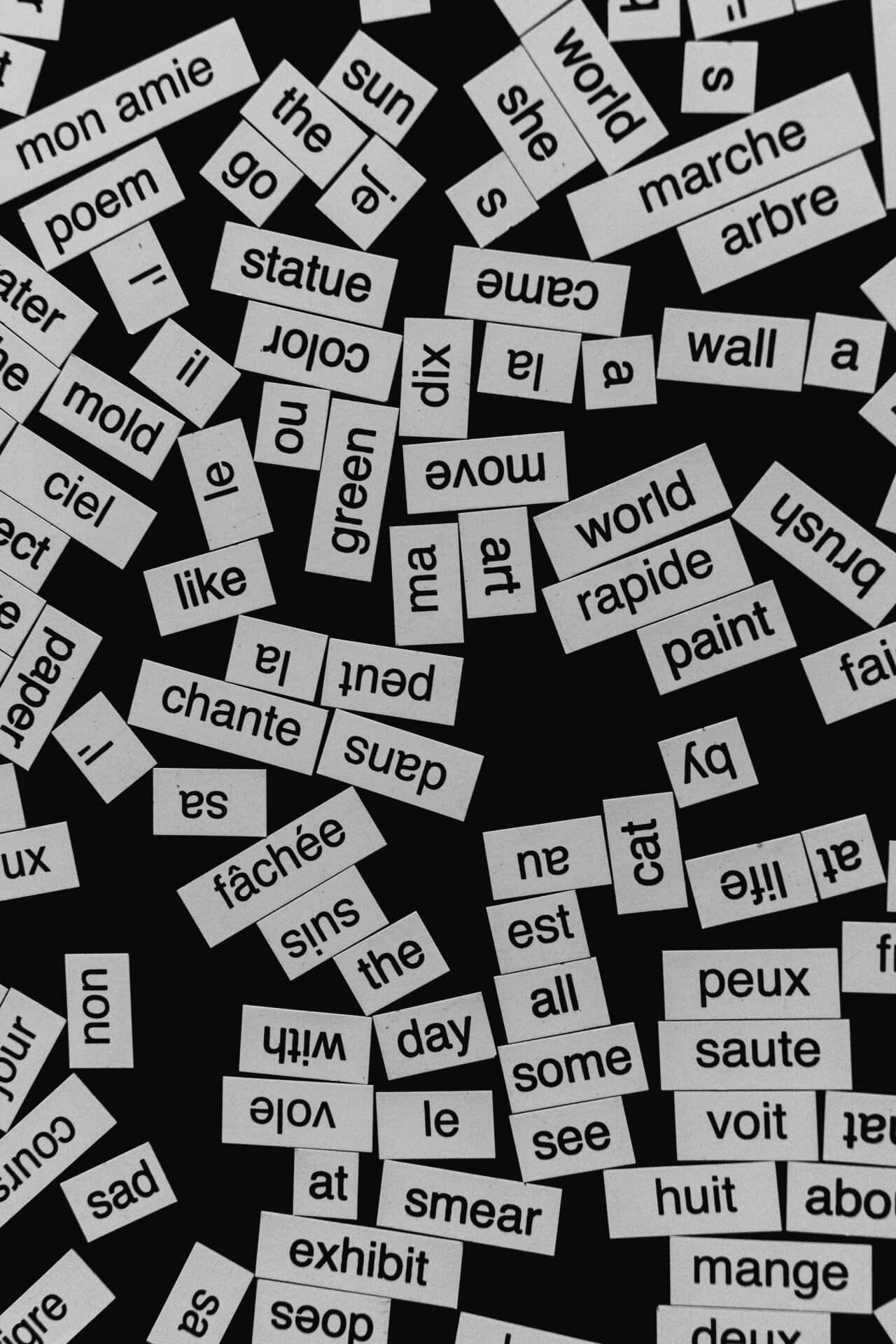 Jumbled words in French and English